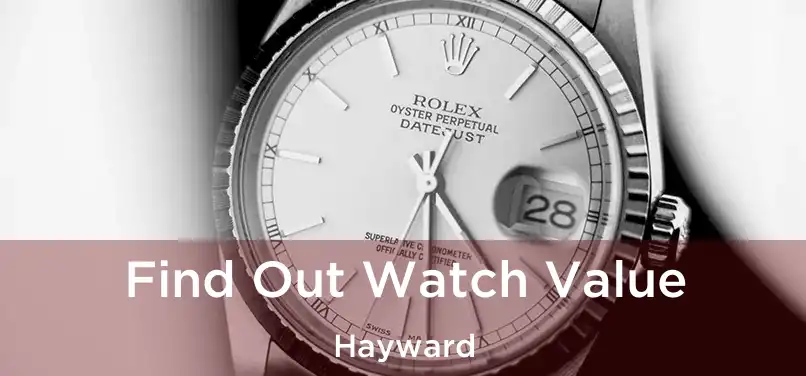 Find Out Watch Value Hayward