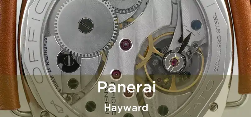 Panerai Hayward