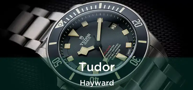 Tudor Hayward