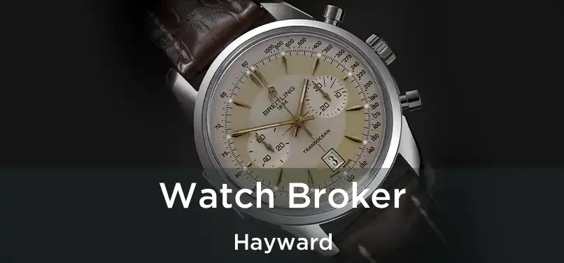 Watch Broker Hayward