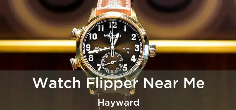 Watch Flipper Near Me Hayward