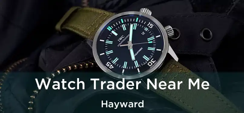 Watch Trader Near Me Hayward