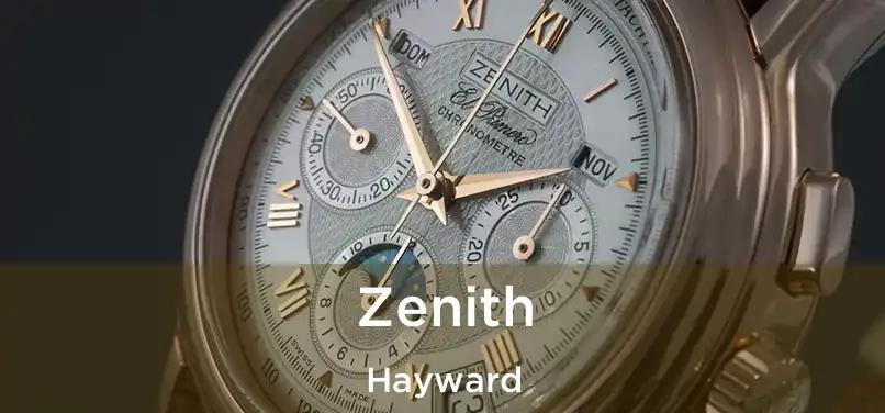 Zenith Hayward